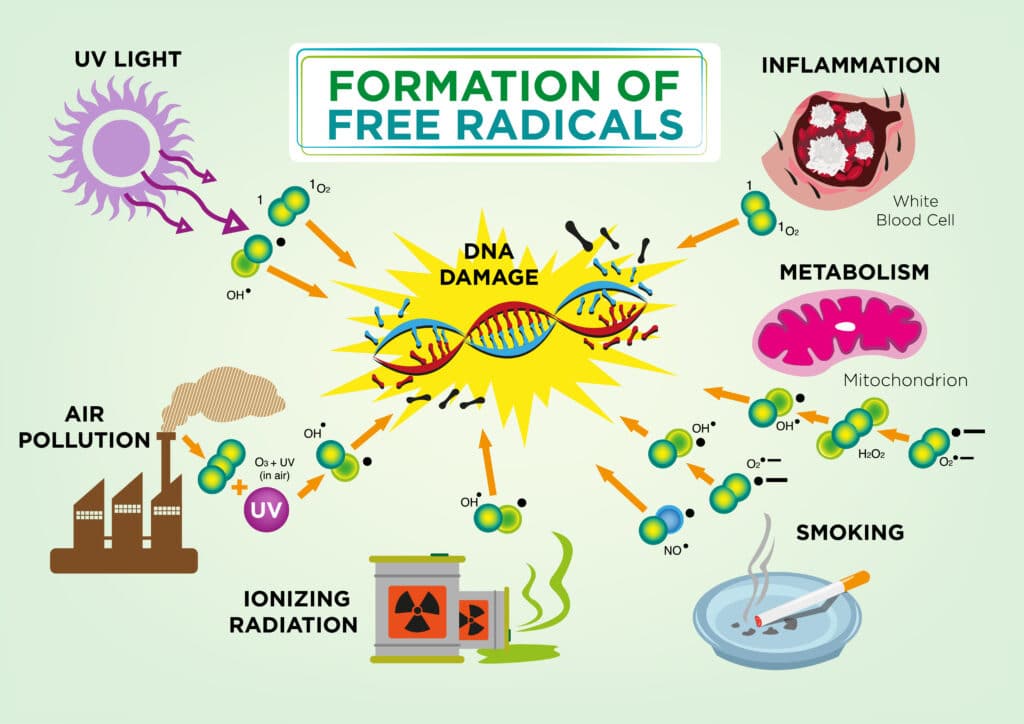 Free_rad3